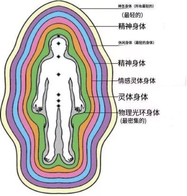 你的多层身体