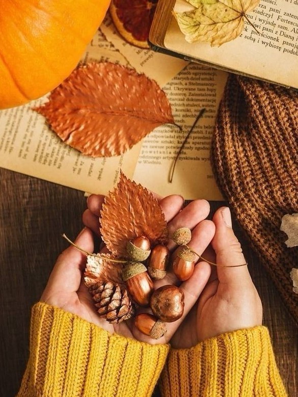 在衣物更迭中，照见生命的顺流之旅