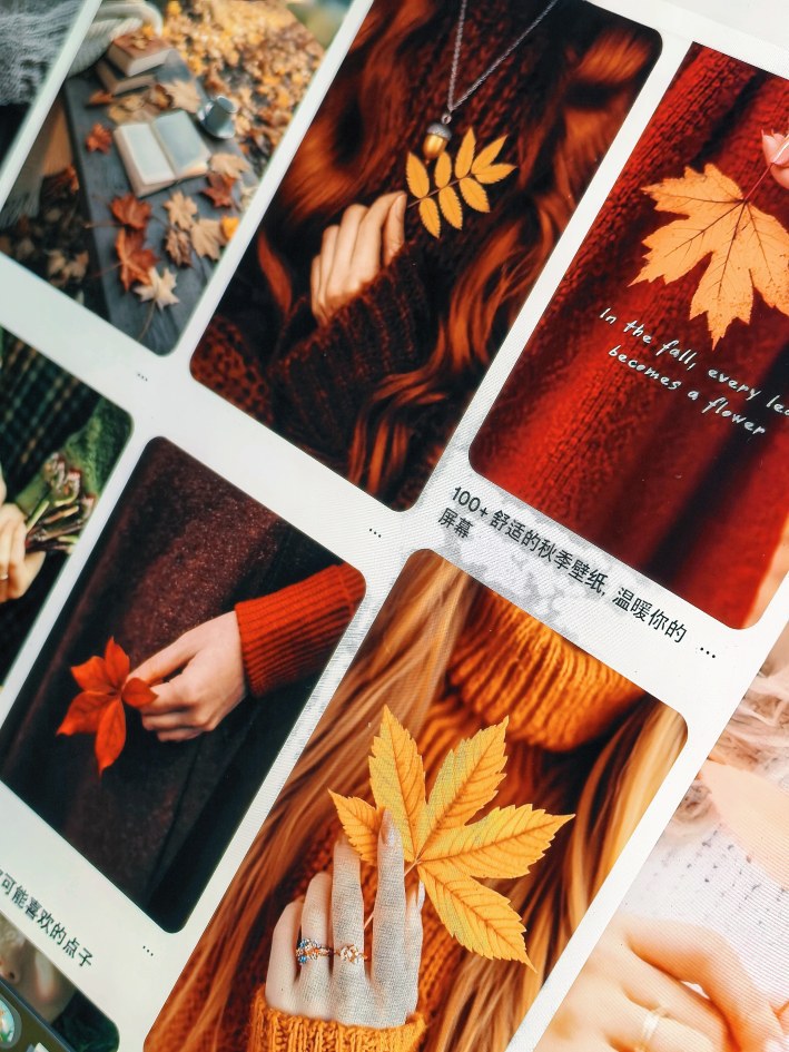 季节1.jpg