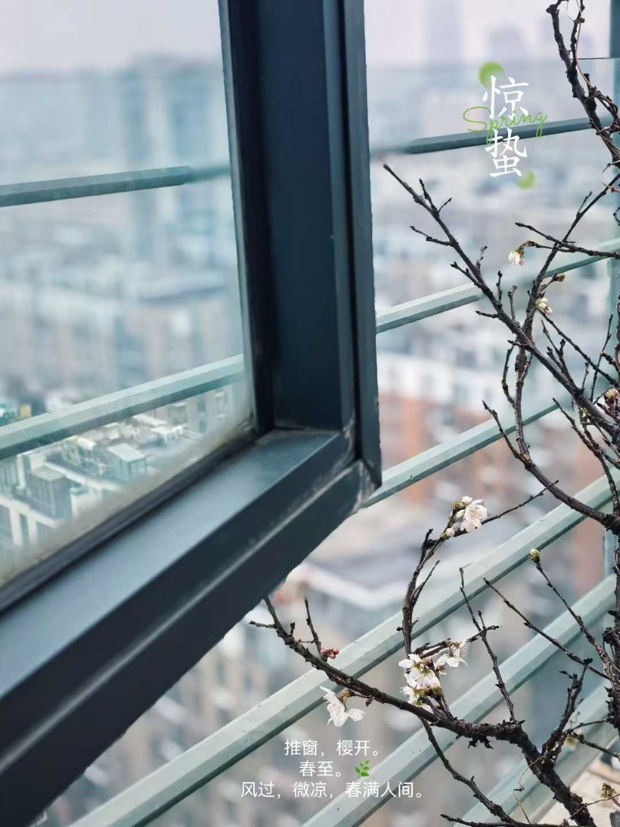 推窗见樱