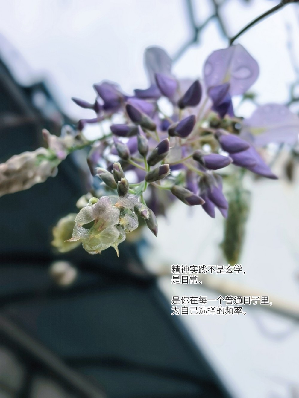 精神实践日常化